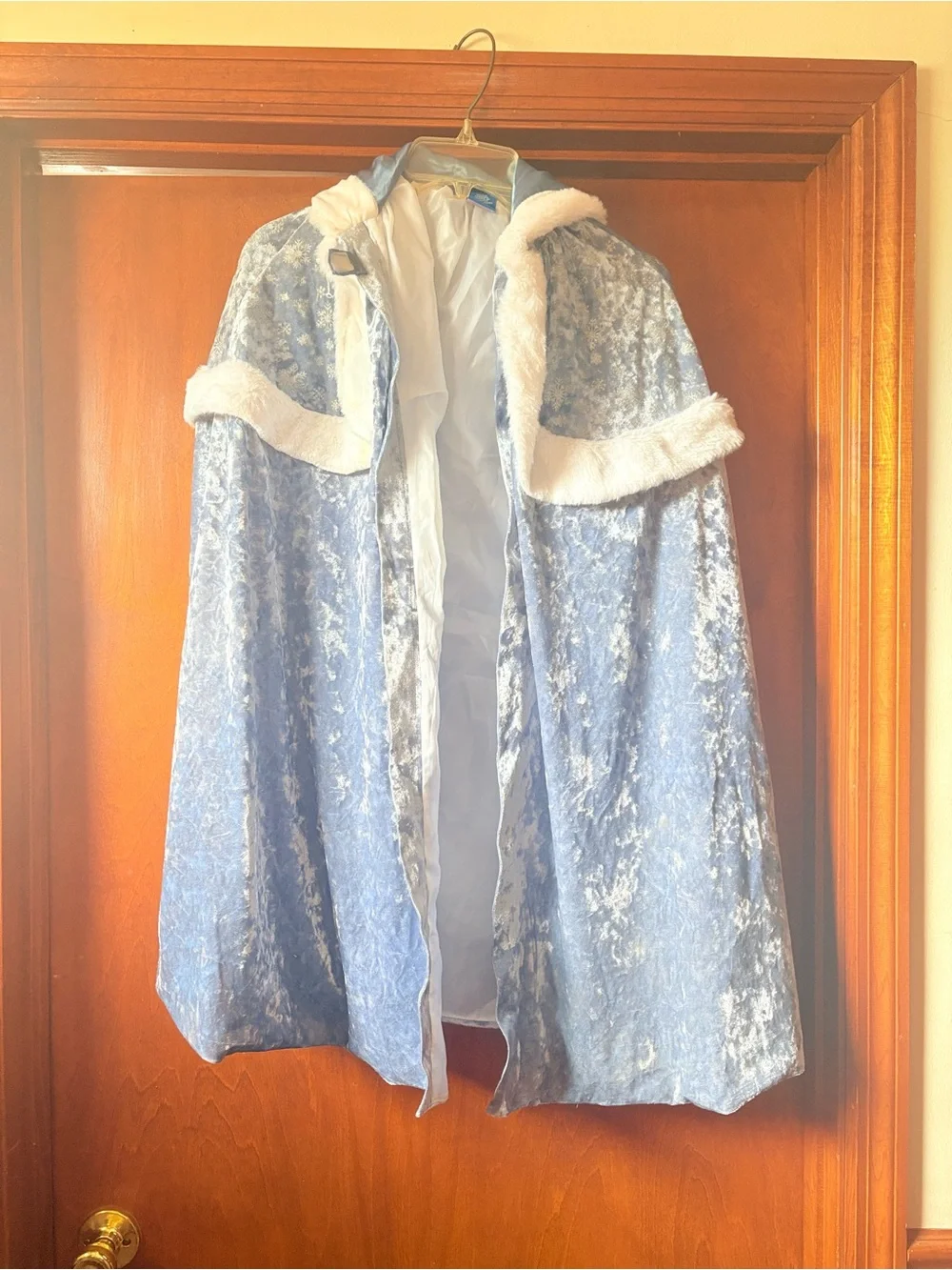 Light Blue Velvet Princess Costume Dress with White Faux Fur Trim